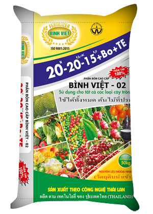 Phân bón Bình Việt 02